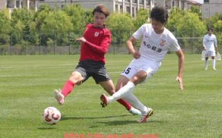 金年会-法甲外援赛季总结分析及其对未来引援策略的指导